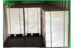 China 100% Biodegradable PLA Coated Food Grade Paper Roll Cup Base Paper 210g + 26g supplier