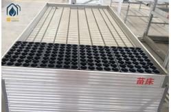 China Commercial Ebb And Flow Rolling Benches Hydroponics Greenhouse Growing Trays supplier
