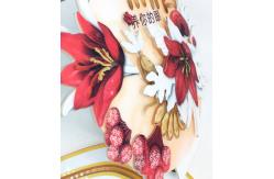 China Acrylic ODM Plexiglass Brochure Holder Stand For Table supplier