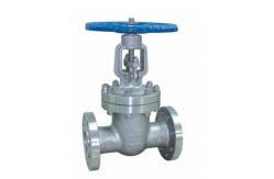 China 304 316 Cf8 Cf3m Cf8m Gate Valve 12 Inch Stainless supplier