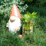 Gnome Planter Metal Yard Ornaments For Garden Outdoor Multiple Design for sale