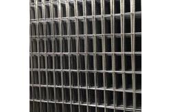 China Security Powder Coated Wire Mesh Panels Galvanized Construction Steel supplier