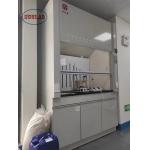≤60dB Noise Level Laboratory Fume Hood Chemistry Fume Hoods with Automatic Control System for sale
