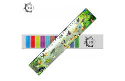 China Custom 3d Lenticular Ruler supplier