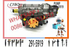 China C6.6 Engine Parts Injection Fuel Pump 291-5919 10R-7660 2641A306 supplier