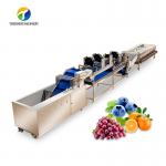 Circulating Hole Fruit Processing Line ,  Tengsheng Roller Conveying Vegetable Processing Line for sale