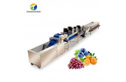 China Circulating Hole Fruit Processing Line ,  Tengsheng Roller Conveying Vegetable Processing Line supplier