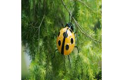 China Ladybug Metal Yard Ornaments Decor Waterproof And Recyclable supplier