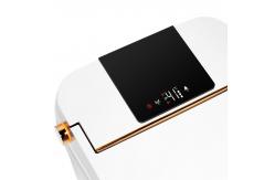 China Luxury Bathroom Sensor Electric Automatic Flush Wc Bidet Intelligent Smart Toilet supplier