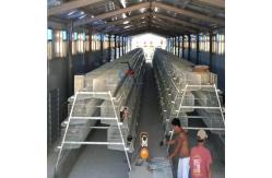 China Customized Steel Structure Poultry House Fire Resistant For Dairy Farm supplier