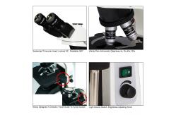 China 40x - 1000x A12.1010 Binocular Biological Microscope Laboratory Biological Microscope supplier