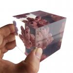 Transparent resin cube brick paperweight with Coral inside