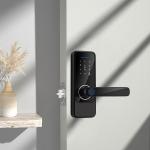 TuyaSmart TTlock Wifi Door Lock Unlock Via Fingerprint Password Key for sale