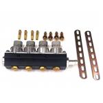 2 Ohm 4 Cylinder Liquefied Gas Injector Autogas LPG CNG Fuel Rail Injector for sale