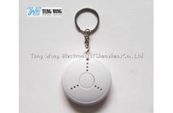 China ABS Music Keychain , Music Keyring 2D 3D Process With Customized Logo / Sound supplier