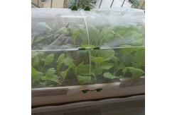 China PVC 40mesh Insect Mesh Net Non Toxicity For Greenhouse Protections supplier