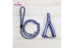 China Smart Light Up 5m Pet Collar And Leash For Dog supplier