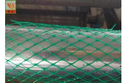 China HDPE Diamond Hole Extruded Plastic Netting , Green Protective Plastic Mesh Sleeve supplier