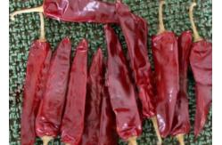 China Medium Hot Dried Guajillo Chili Nature Red Chile Peppers supplier