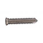Veterinary Implant Surgical Orthopedic Screw Vet Locking Screw For Dog for sale