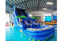 China Playground Jumping Bouncer Inflatable Water Slide With Pool supplier