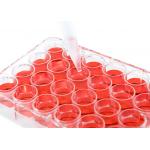 Gamma Sterile Cell Culture Plate Lab Consumables Plastic Microplate 24 for sale