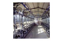 China SS304 Herringbone Milking Hall PVC pipeline Parallel Milking Parlor supplier