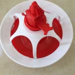 Duck and goose feeding tray