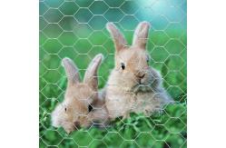 China Chicken Cage Coop Fence Wire Mesh Rolls Hexagonal Wire Mesh Netting supplier