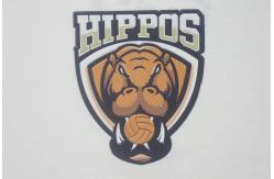 China High Frequency Embossed Tpu Clothing Main Patch Labels For Sports Garment supplier