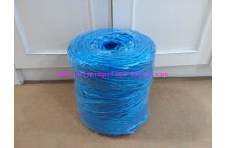 China Professional Custom Banana Baling Twine High Tenacity 22500D-27000D supplier