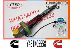China Y431K05417 QSK19 Diesel Engine Common Rail Fuel Injector Y431K05558 4964171  Y431K05420 supplier