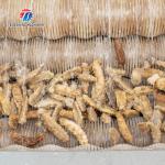 1500KG/H Root Vegetable Washing And Peeling Machine For Restaurant