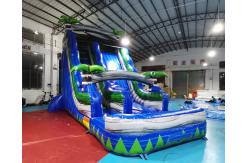 China Palm Tree Jumping Castles Outdoor Inflatable Water Slides With Pool supplier