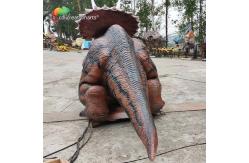 China Animatronic Triceratops Model For Theme Park Decoration supplier