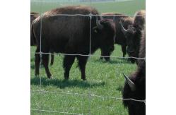 China Top selling goat fence, cattle fence Hinge Joint 6ft 8ft galvanized field fence supplier