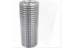 China 10 Gauge Electro Galvanized Welded Wire Mesh ODM OEM Width  0.4-2M supplier