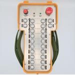 24 Buttons DC12V 100m Heavy Equipment Remote Control For Hoist Crane for sale