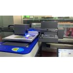 Acetek 6090 Digital Uv Flatbed Printer Industrial XP600 Printhead