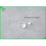 Popular Waterproof And Moisture Proof Fabric Paper For Making Camping Bag
