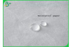 China Popular Waterproof And Moisture Proof Fabric Paper For Making Camping Bag supplier