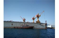 China 50t~100t Floating Dock Portal Crane With CCS Certificate Customized Design supplier
