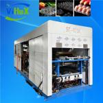 High Efficient Plastic Food Tray Thermoforming Machine With Heating Forming Cutting Stacking Funtion for sale