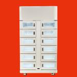 China Winnsen Cold Chain Frozen Smart Electronic Refrigerated Parcel Delivery Locker System For Pizza Cake manufacturer