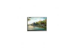 China F057A20-601 5.7 inch 720*1520 LCD Screen Module supplier