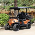 Strong and Elegant 2 Front Seats & 2 Rear Electric Golf Carts Carried 5KW Motor & 48V Lithium Battery