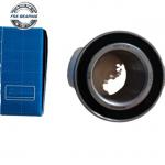 BAH-0196 Russian Car Double Row Angular Contact Ball Bearing DAC45800045 564725AB for sale