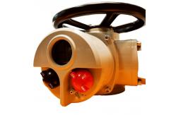 China Torque Protection Explosion Proof Linear Actuator Multi Turn supplier