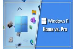 China TPM 2.0 Microsoft Windows 11 Professional OEM Box Win 11 Home Activation Key Online supplier