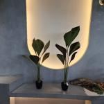Artificial Plants The Perfect Solution for Your Home and Office Greenery Needs for sale